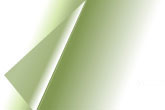 hoja